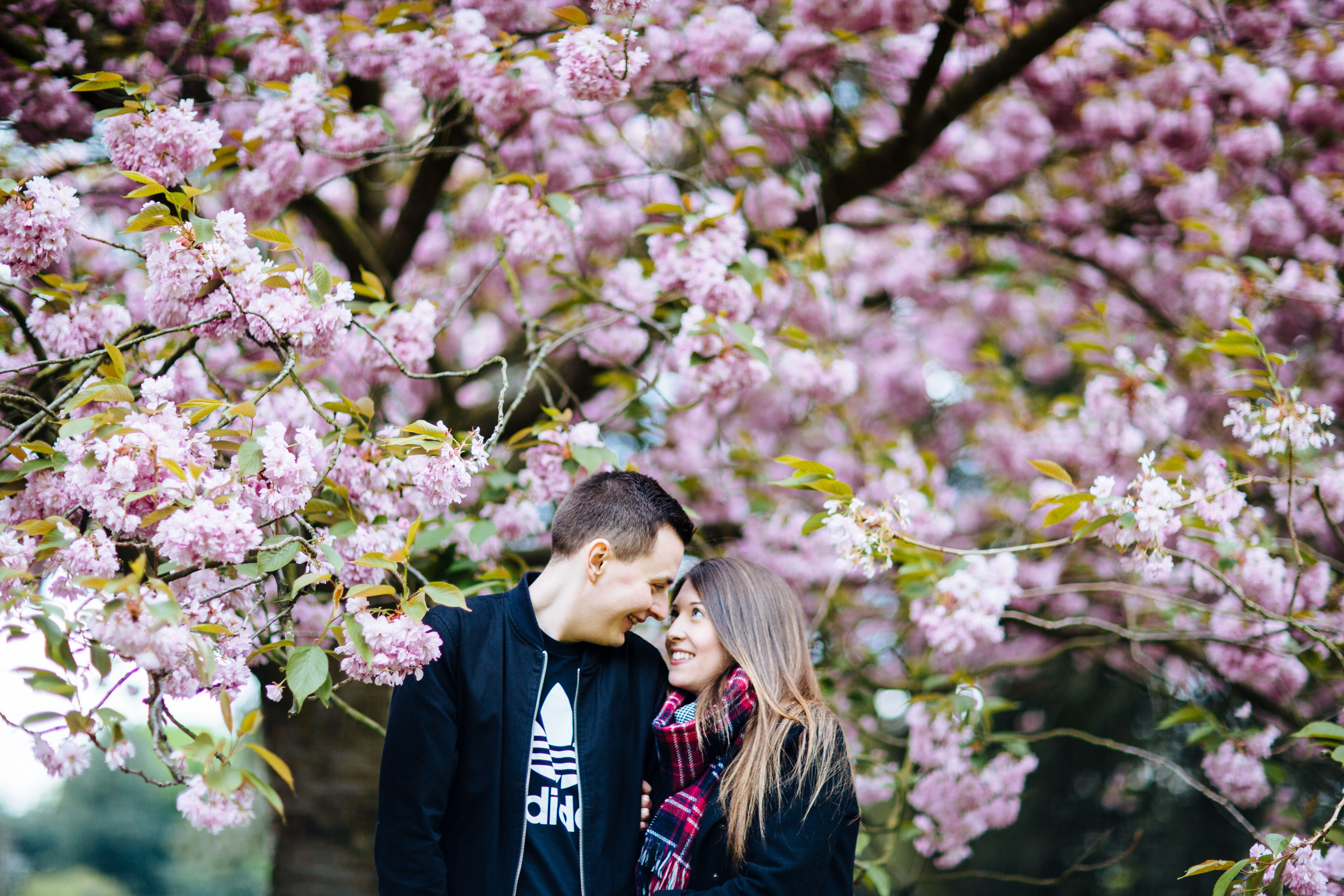 Our Cherry Blossom Engagement Shoot In Greenwich Park - A Beautiful Ride.